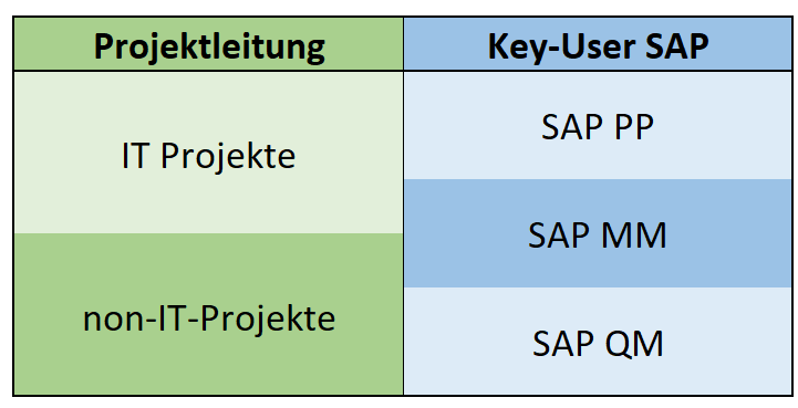 Projektleitung und Keyuser SAP PP/MM/QM